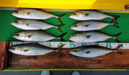 火遠理丸（ほおりまる） 釣果