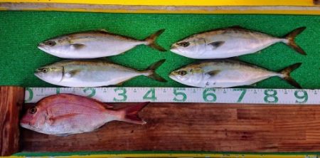 火遠理丸(ほおりまる) 釣果