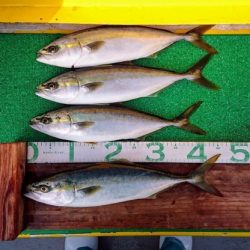 火遠理丸(ほおりまる) 釣果