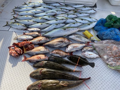 ミタチ丸 釣果