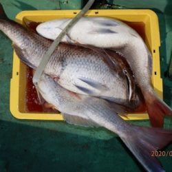 第二むつ漁丸 釣果