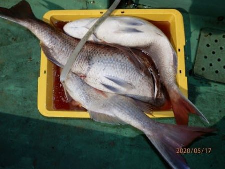 第二むつ漁丸 釣果