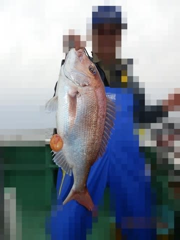 第二むつ漁丸 釣果