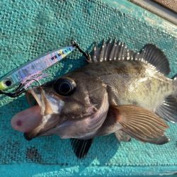 広進丸 釣果
