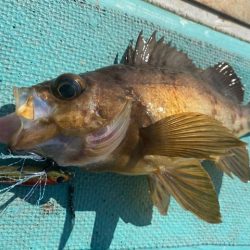 広進丸 釣果