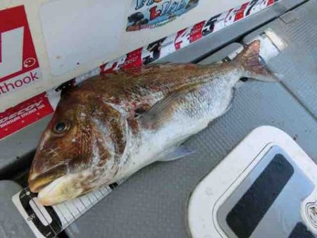 遊漁船 セトマリン 釣果