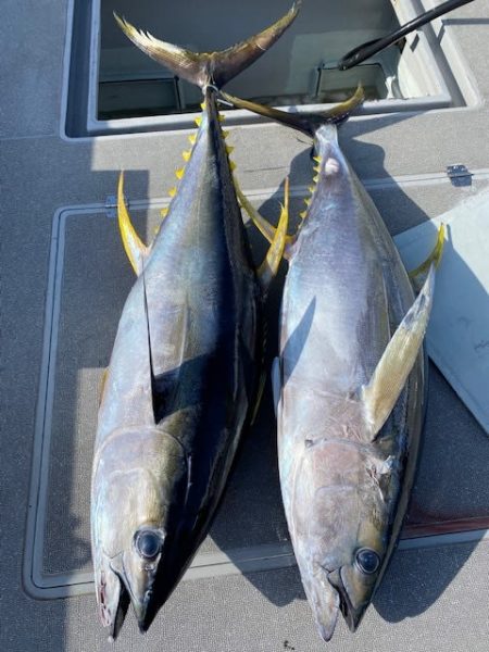 へいみつ丸 釣果