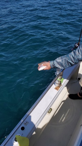 遊漁船　ニライカナイ 釣果