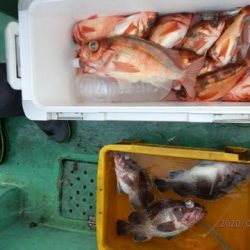 第二むつ漁丸 釣果