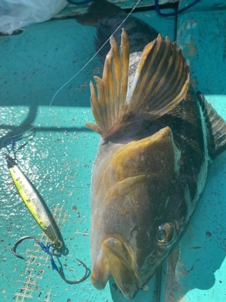 広進丸 釣果