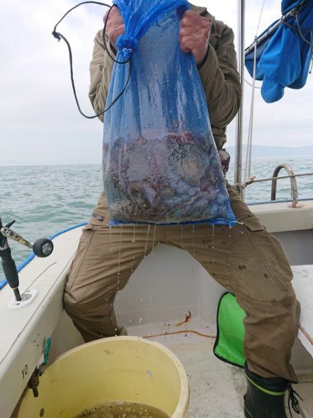 たかみ丸 釣果
