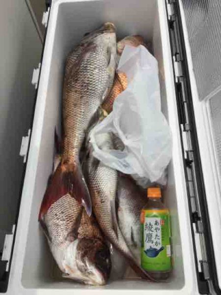 龍宮丸 釣果