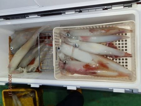 第二むつ漁丸 釣果