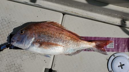 遊漁船 ニライカナイ 釣果