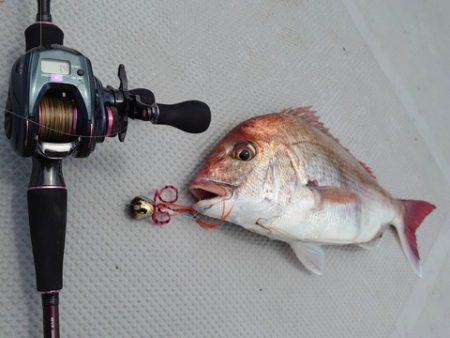 めだか屋 釣果