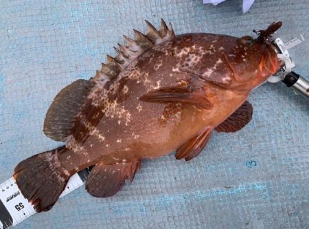 TOPGUN名古屋 釣果