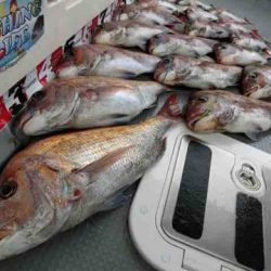 遊漁船 セトマリン 釣果