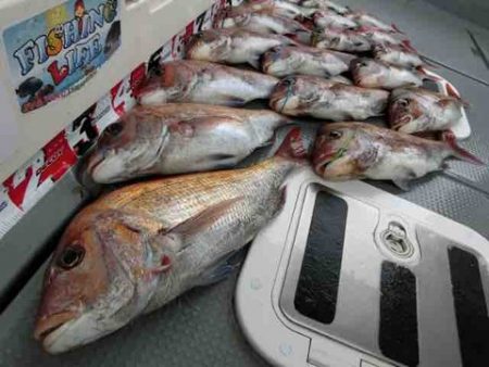 遊漁船 セトマリン 釣果