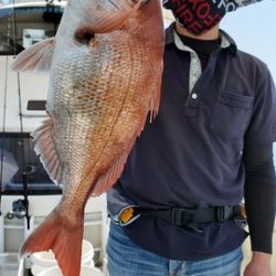 遊漁船 ニライカナイ 釣果