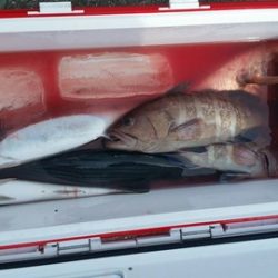 第五慶門丸 釣果