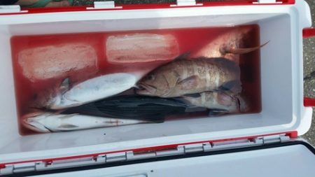 第五慶門丸 釣果