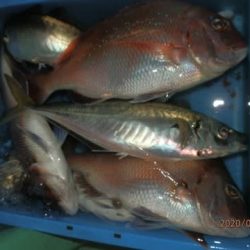 第二むつ漁丸 釣果