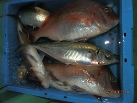 第二むつ漁丸 釣果