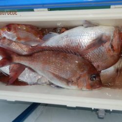 第二むつ漁丸 釣果