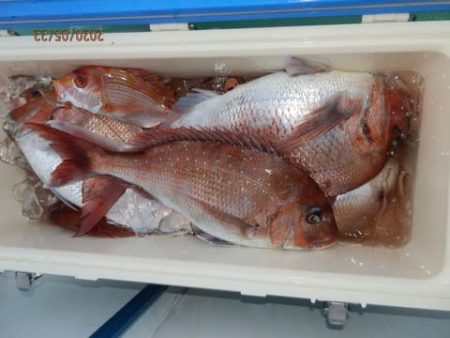 第二むつ漁丸 釣果