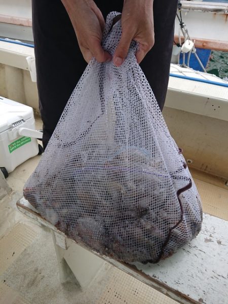 たかみ丸 釣果