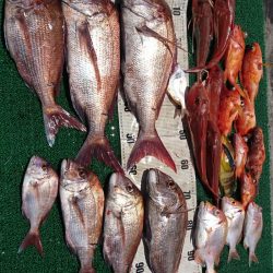正幸丸 釣果