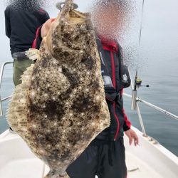 Magic（マジック） 釣果