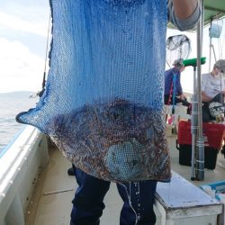 たかみ丸 釣果