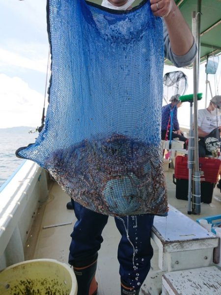 たかみ丸 釣果