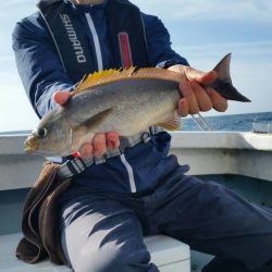 第五慶門丸 釣果