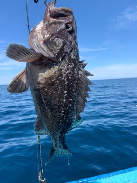 宝昌丸 釣果