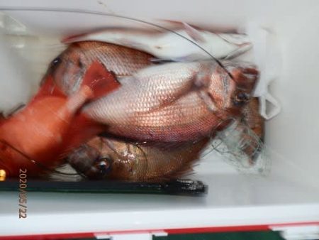 第二むつ漁丸 釣果