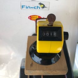 Magic（マジック） 釣果