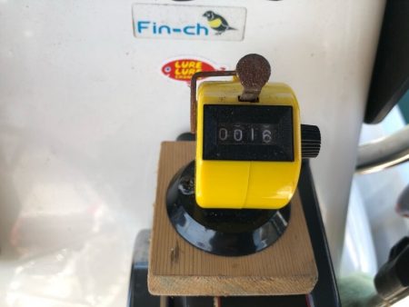 Magic（マジック） 釣果