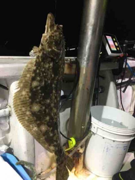 龍宮丸 釣果
