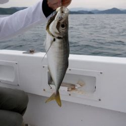 開進丸 釣果
