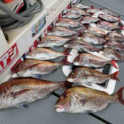 遊漁船 セトマリン 釣果