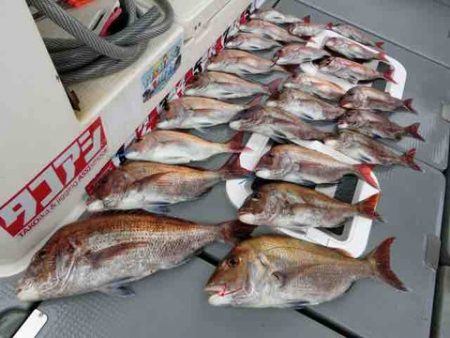 遊漁船 セトマリン 釣果