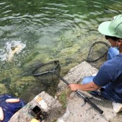 フィッシング サンクチュアリ 釣果