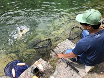 フィッシング サンクチュアリ 釣果