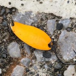 フィッシング サンクチュアリ 釣果