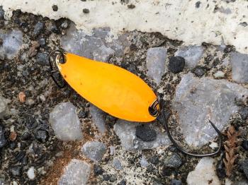 フィッシング サンクチュアリ 釣果