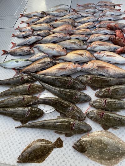 ミタチ丸 釣果