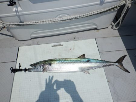 遊漁船 遊友 釣果