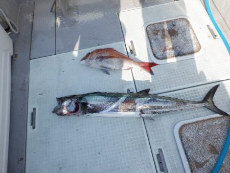 遊漁船 遊友 釣果